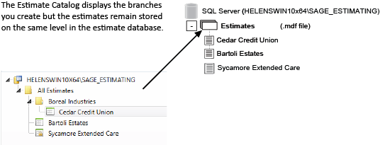 Estimates are stored at the same level in SQL Server, but you can display them in branches in the Estimates Catalog.