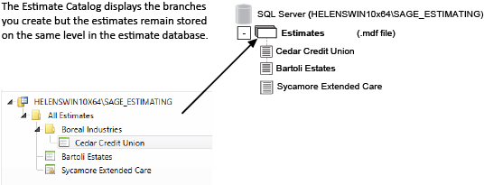 Estimates are stored at the same level in SQL Server, but you can display them in branches in the Estimates Catalog.